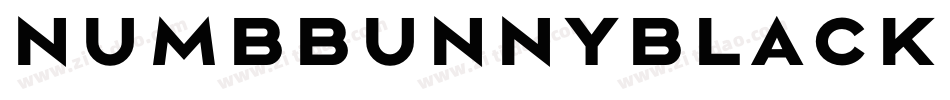 NumbbunnyBlackItalic-g544字体转换