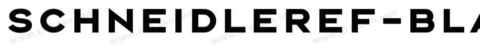 SchneidlerEF-Black字体转换