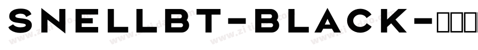 SnellBT-Black字体转换