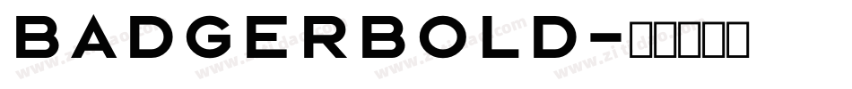 BadgerBold字体转换