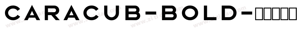 Caracub-Bold字体转换