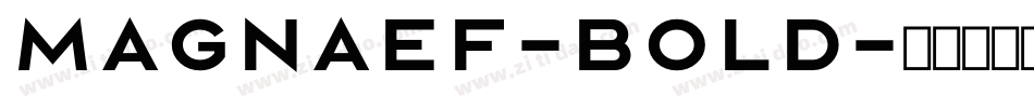 MagnaEF-Bold字体转换