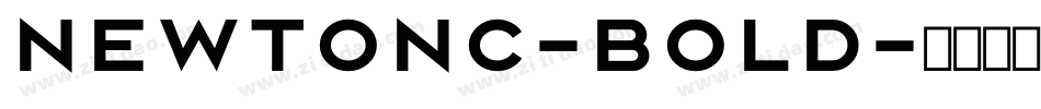 NewtonC-Bold字体转换