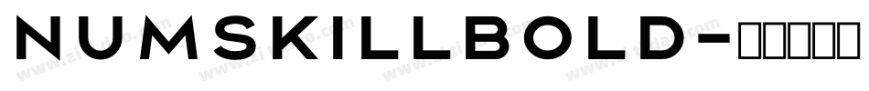 NumskillBold字体转换