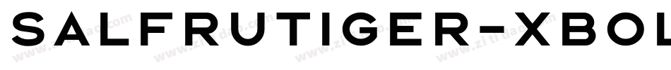 SALFrutiger-XBold字体转换