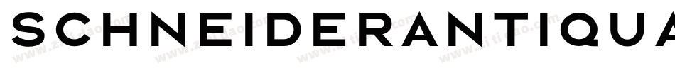 SchneiderAntiquaBQ-Bold字体转换