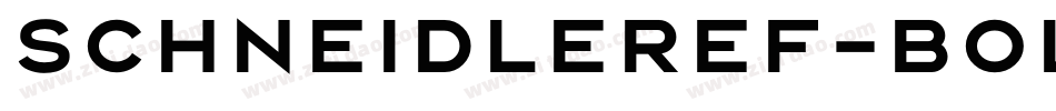 SchneidlerEF-Bold字体转换