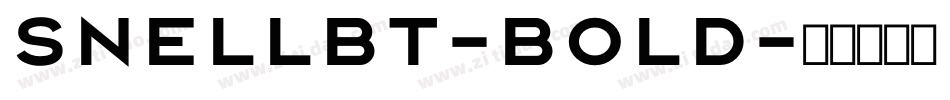 SnellBT-Bold字体转换