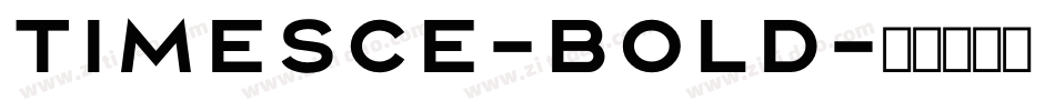 TimesCE-Bold字体转换