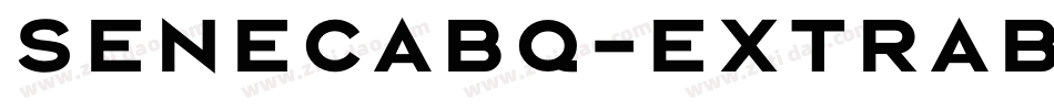 SenecaBQ-ExtraBold字体转换