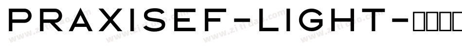 PraxisEF-Light字体转换