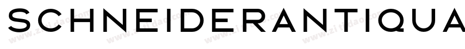 SchneiderAntiquaBQ-Light字体转换