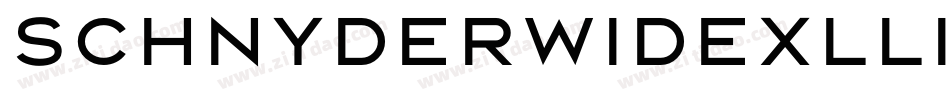 SchnyderWideXLLight字体转换
