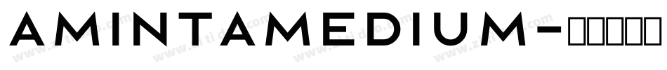 AmintaMedium字体转换