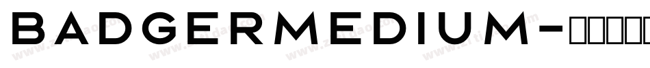 BadgerMedium字体转换