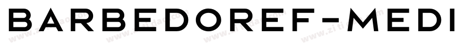 BarbedorEF-Medium字体转换