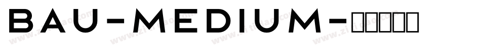 Bau-Medium字体转换