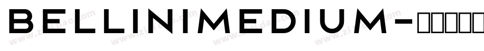 BelliniMedium字体转换