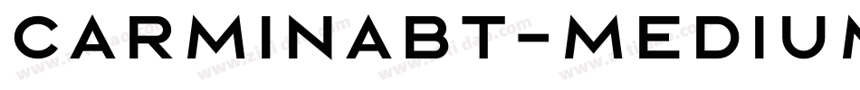 CarminaBT-Medium字体转换