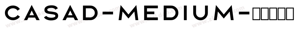 Casad-Medium字体转换
