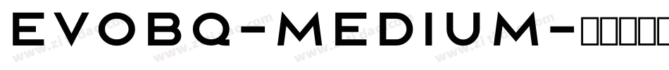 EvoBQ-Medium字体转换