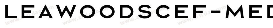 LeawoodSCEF-Medium字体转换