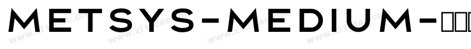 Metsys-Medium字体转换