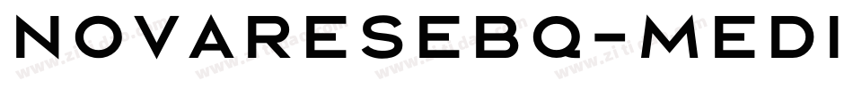 NovareseBQ-Medium字体转换
