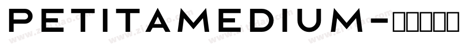PetitaMedium字体转换