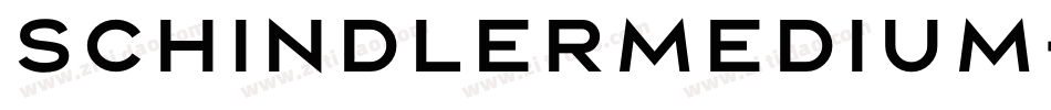 SchindlerMedium字体转换