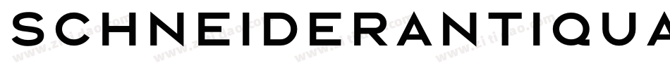 SchneiderAntiquaBQ-Medium字体转换
