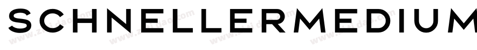 SchnellerMedium字体转换