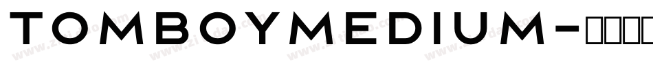 TomboyMedium字体转换