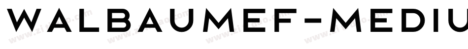 WalbaumEF-Medium字体转换