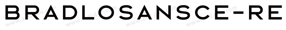 BradloSansCE-Regular字体转换