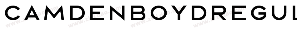 CamdenBoydRegular-MwjJ字体转换