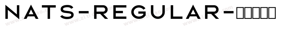 NATS-Regular字体转换