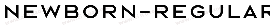 Newborn-Regular字体转换