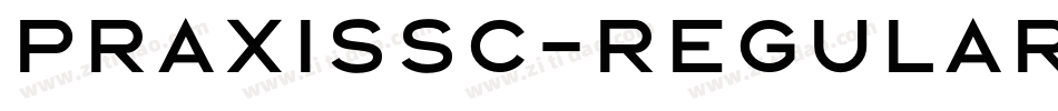 PraxisSC-Regular字体转换