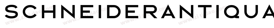 SchneiderAntiquaBQ-Regular字体转换