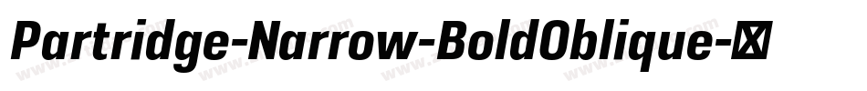 Partridge-Narrow-BoldOblique字体转换