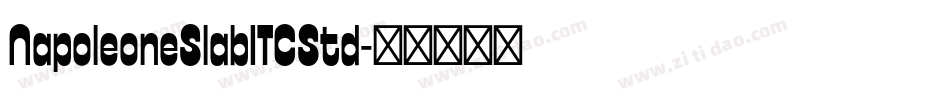 NapoleoneSlabITCStd字体转换
