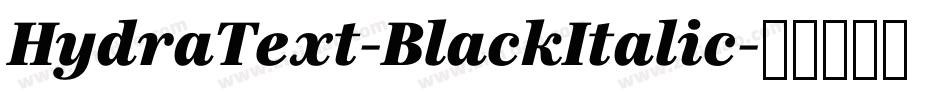 HydraText-BlackItalic字体转换