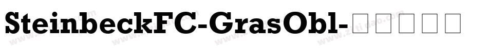 SteinbeckFC-GrasObl字体转换