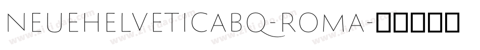 NeueHelveticaBQ-Roma字体转换