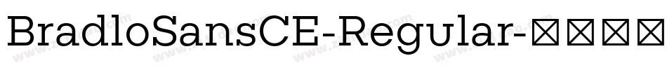 BradloSansCE-Regular字体转换