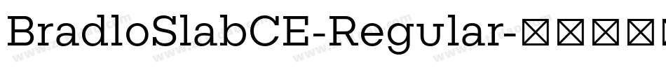 BradloSlabCE-Regular字体转换