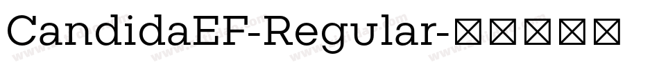 CandidaEF-Regular字体转换