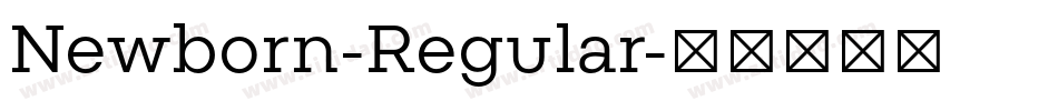 Newborn-Regular字体转换