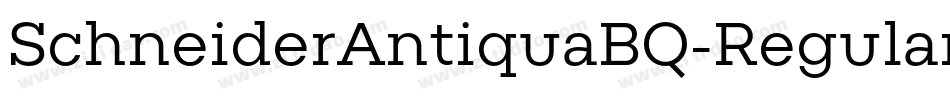 SchneiderAntiquaBQ-Regular字体转换